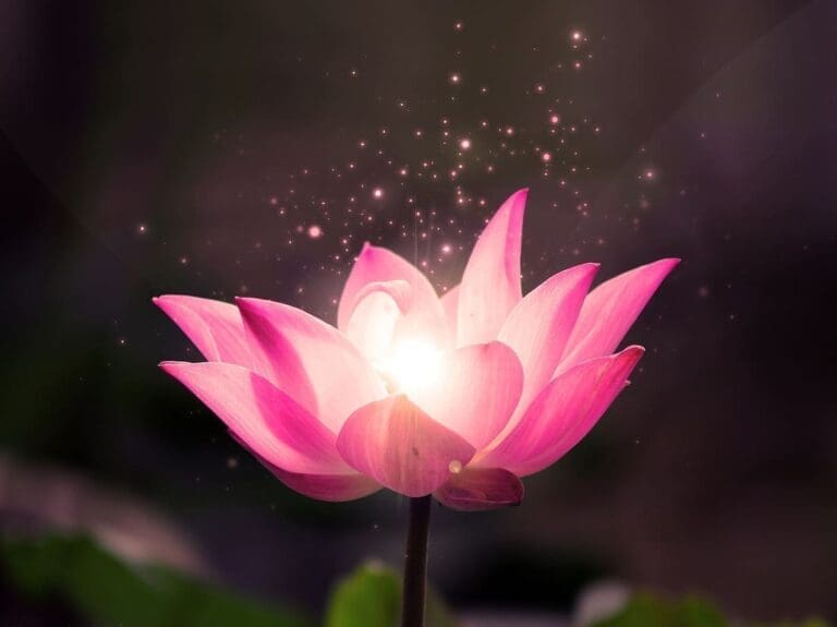 Lotus Life with Lauren Catanese: Springing forward…into You