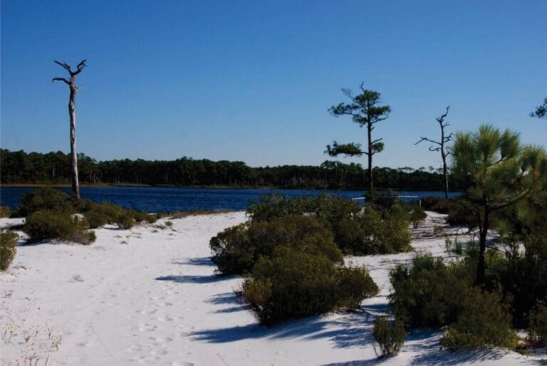 Upcoming Events at Topsail Hill State Park