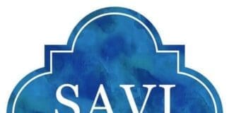 Savi