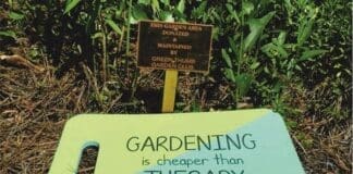 Gardening