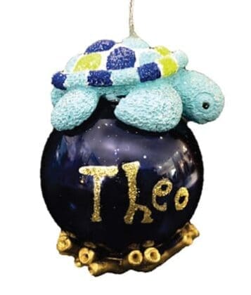Theo On Reef