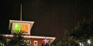 12 Nights Of Light