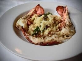 Lobster