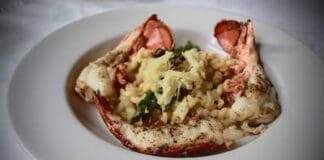 Lobster