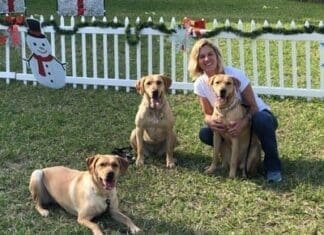 K9 Liberty With Board Member Carrie Fry. Liberty Is The Mother Of The Two Dogs From Our Bred For Purpose Program (sadie Mae And Lucy)