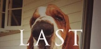 Last Stop
