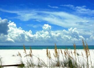 Beach Scene