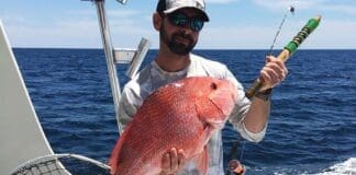 Garcia Snapper