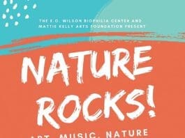 Nature Rocks Image 6 22 19 At 9.26 Pm