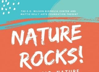 Nature Rocks Image 6 22 19 At 9.26 Pm
