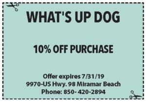 Sowal July 2019 Whats Up Dog