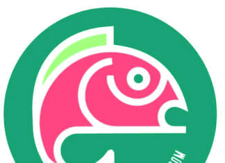 Bay Baits
