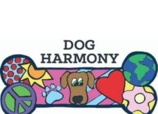 Dog Harmony(1)