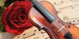 Heart Strings Violin