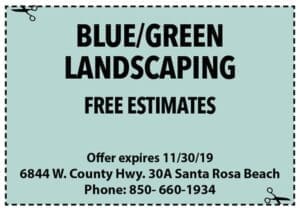 Bluegreen Nov 2019