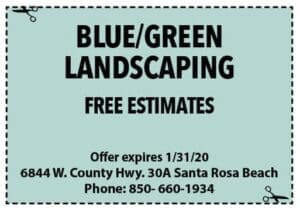 Blue Green Coupon Sowal Jan 2020