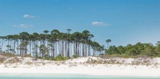 Perfect In South Walton