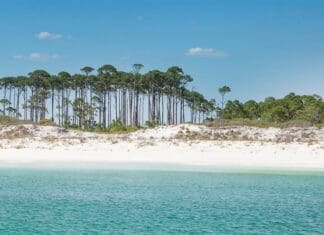 Perfect In South Walton