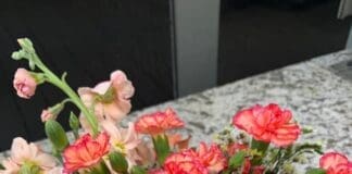 Beachy Bloom Bouquet