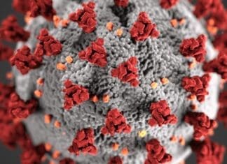 Coronavirus