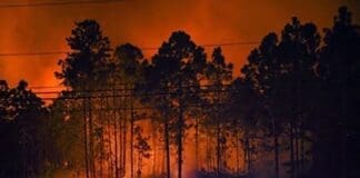 30a Songwriter Fire