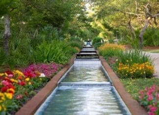 Cerulean Park Stream With Flowers