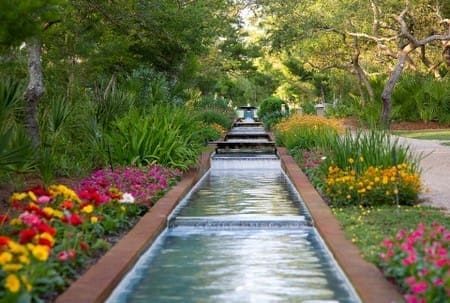 Cerulean Park Stream With Flowers