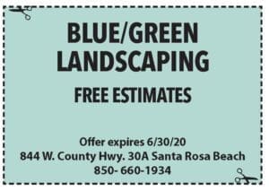 Coupons Sowal June 2020 Blue Green