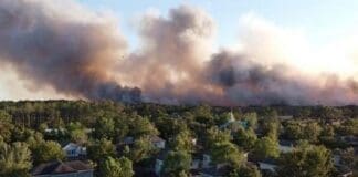 Northwest Florida Daily News