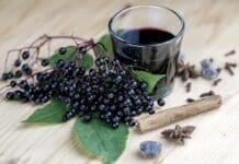 Glass Of Fresh Elderberry Syrup With Ingredients