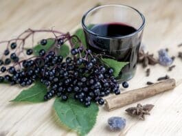 Glass Of Fresh Elderberry Syrup With Ingredients