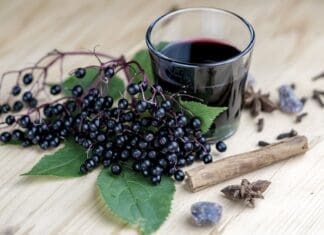 Glass Of Fresh Elderberry Syrup With Ingredients