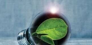Energy Savings Light Bulb W Leaf
