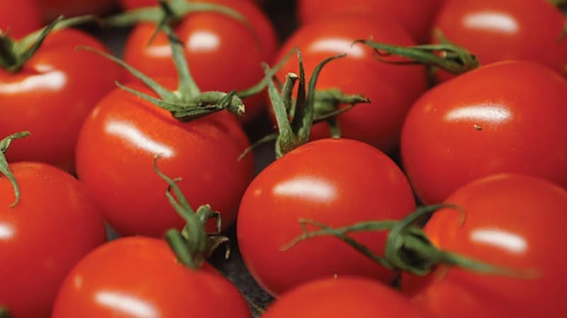 Tomatoes