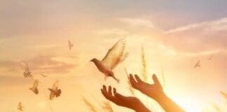 Forgiveness