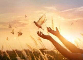 Forgiveness