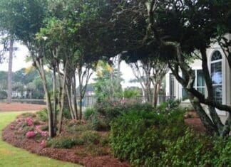 Gtgc Picture One
