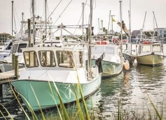 Harbor 2