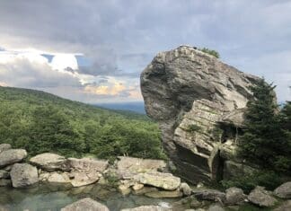 Lotus Life Rock