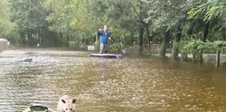 Alaqua Flood