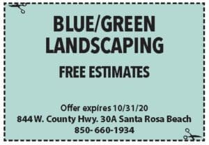 Coupons Sowal Oct 2020 Blue Green