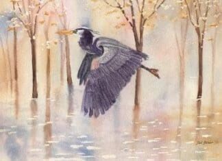 Faber, Pat Heron