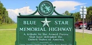 Picture Blue Star Memorial Highway Marker