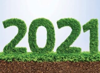 2021 Green Ecology Year Concept