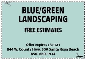 Sowal Jan 2021 Coupons Blue Green