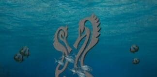 Dawn Dancers