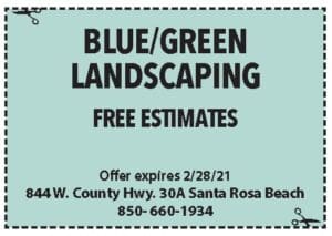 Sowal Feb 2021 Coupons Blue Green