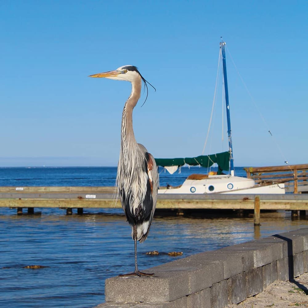 Bay2