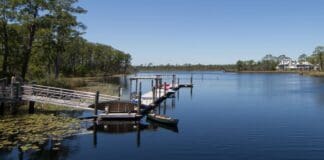 Coastal Dune Lake