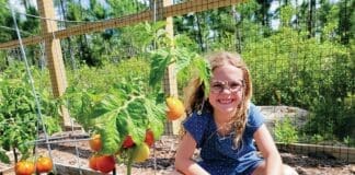 Cultivate Community Gardens
